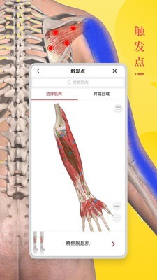 3DBody解剖8.2版