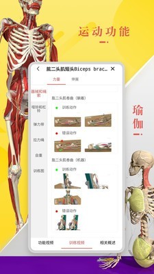 3DBody解剖手机版