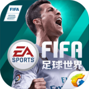 FIFA足球世界测试服