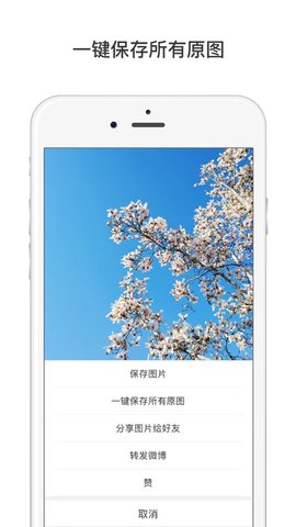 微博国际版APP