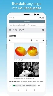 Kiwi浏览器最新版