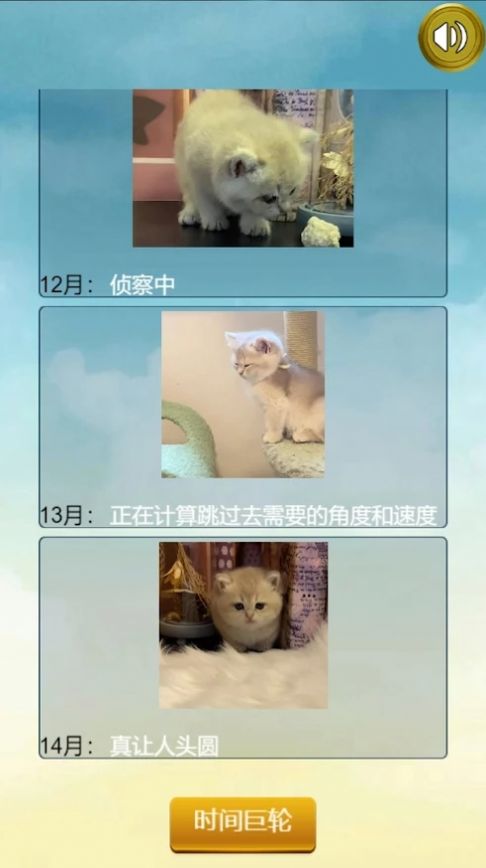 猫的一生重启模拟器