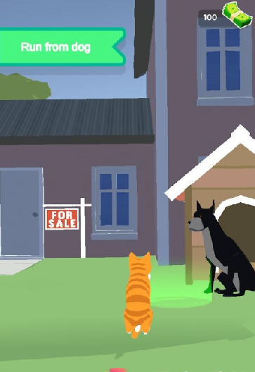 CatSimulator