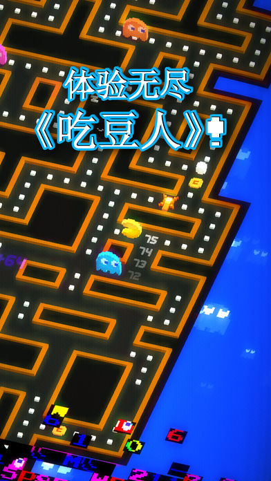 PAC MAN 256