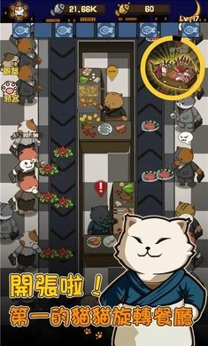 猫咪深夜食堂