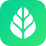 sgreen浏览器免登录版