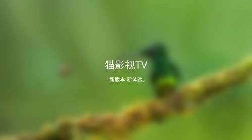 猫影视tv去广告去升级