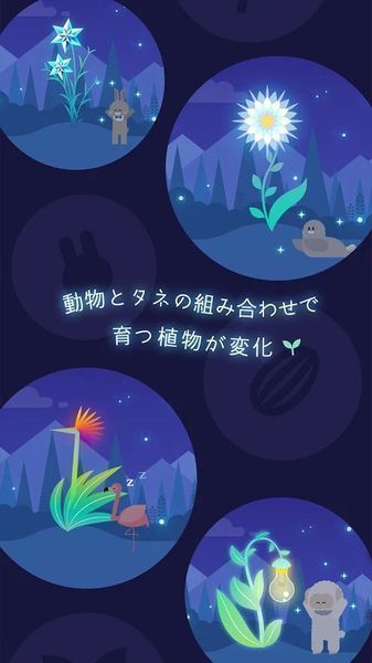 夜之森手机版