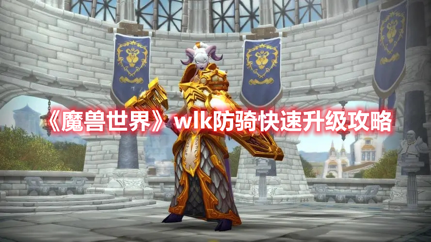 魔兽世界wlk防骑快速升级攻略