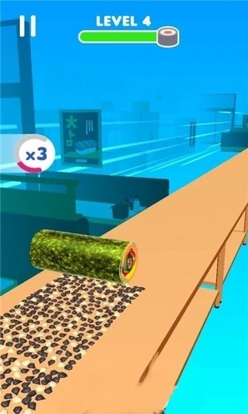 SushiRoll3D