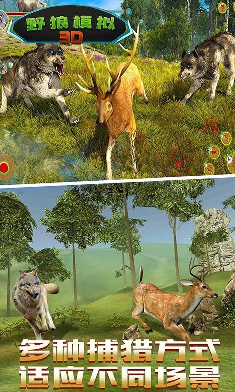 野狼模拟3D最新版