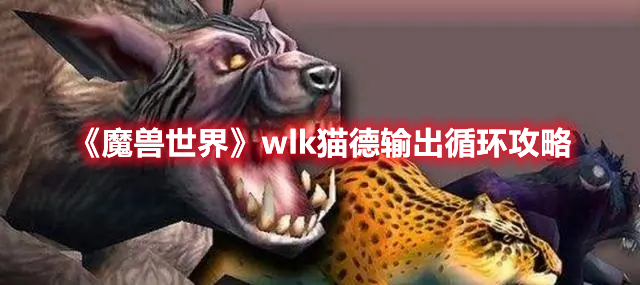 魔兽世界wlk猫德输出循环攻略