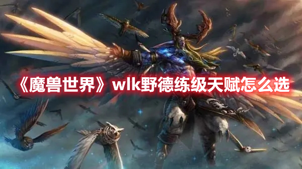 魔兽世界wlk野德练级天赋怎么选