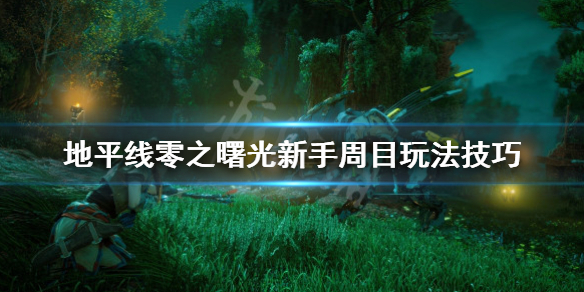 《地平线零之曙光》新手有什么技巧？新手周目玩法技巧