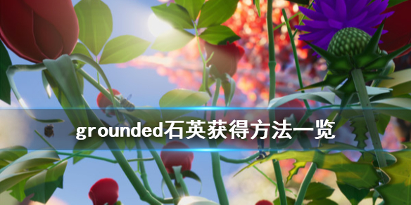 《禁闭求生》石英岩怎么获得 grounded石英获得方法一览