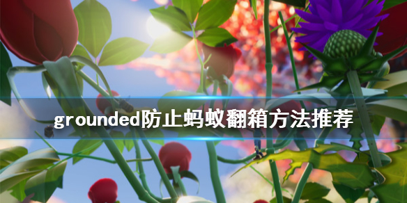 《禁闭求生》蚂蚁翻箱子怎么办 grounded防止蚂蚁翻箱方法推荐