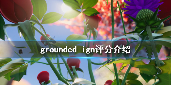 《禁闭求生》ign评分高吗 groundedign评分介绍