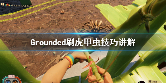 《禁闭求生》虎甲虫怎么刷？Grounded刷虎甲虫技巧讲解