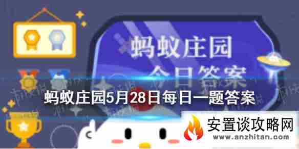 安置谈攻略网1