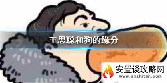 王思聪和狗的缘分 思聪和狗的缘分是什么梗