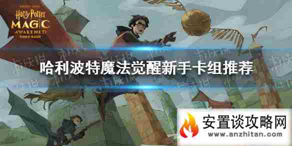 新手必养的十张卡牌 《哈利波特：魔法觉醒》新手养成推荐