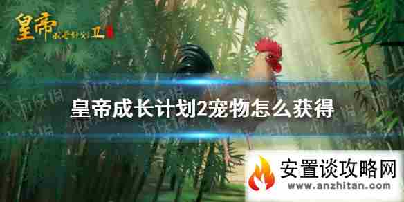 《皇帝成长计划2》宠物怎么获得 宠物获取渠道