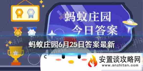 安置谈攻略网1