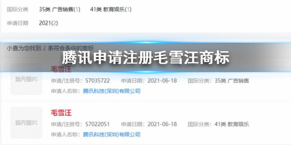 腾讯申请注册毛雪汪商标 腾讯注册毛雪汪商标